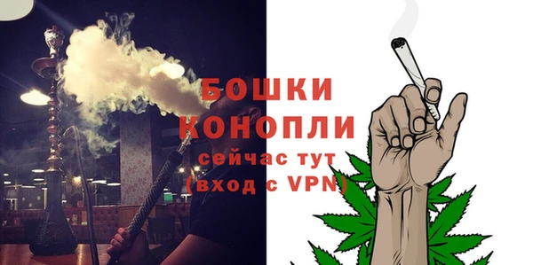 шишки Дмитров