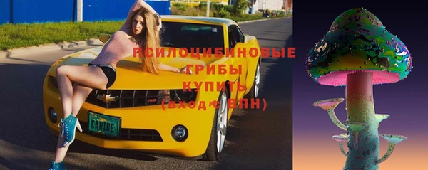 шишки Дмитров