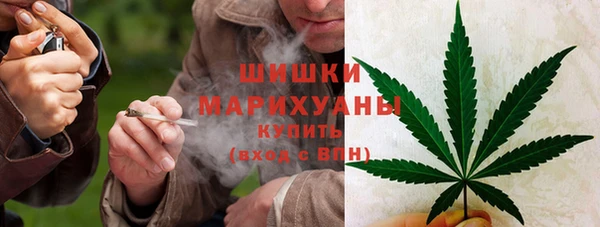 стаф Дмитриев