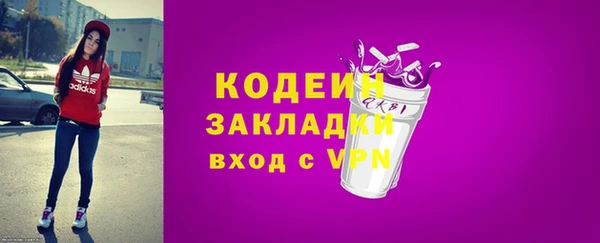 стаф Дмитриев