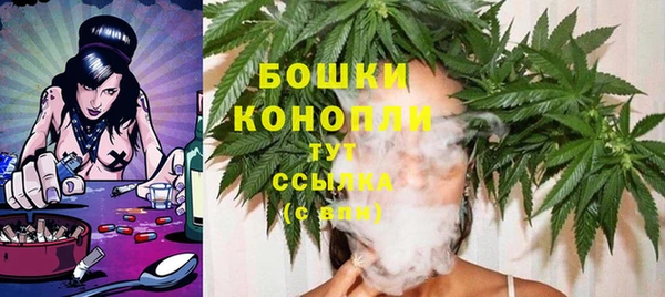 метадон Гусь-Хрустальный