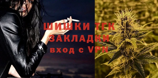 стаф Дмитриев