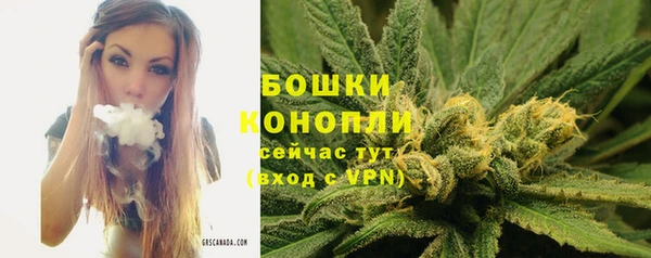 стаф Дмитриев