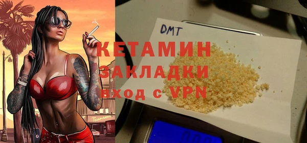 стаф Дмитриев