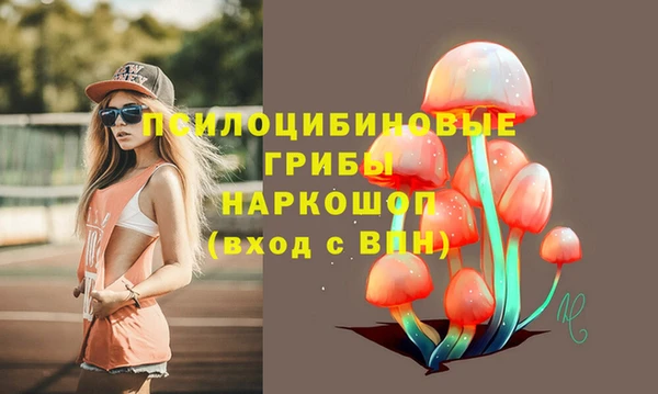 каннабис Гусев