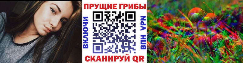 купить  сайты  Волхов  blacksprut как зайти  Галлюциногенные грибы Psilocybe 