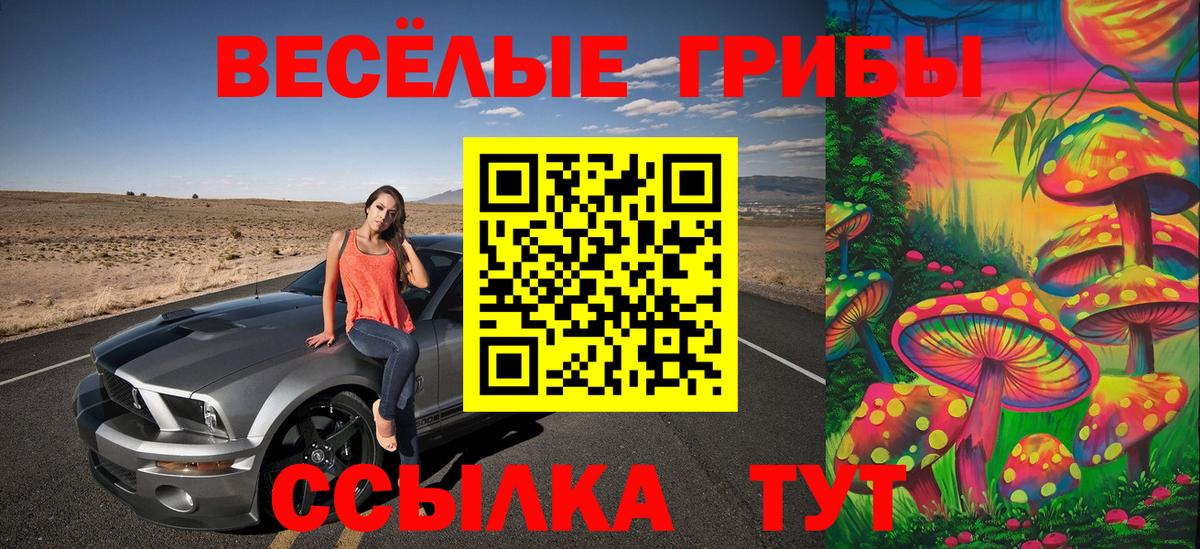 LSD-25  Волхов  Cocaine  Меф   НБОМе  Вход с VPN  Канабис  ГАШ 
